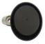 Accessory Belt Tensioner (Manual Adjustment)
